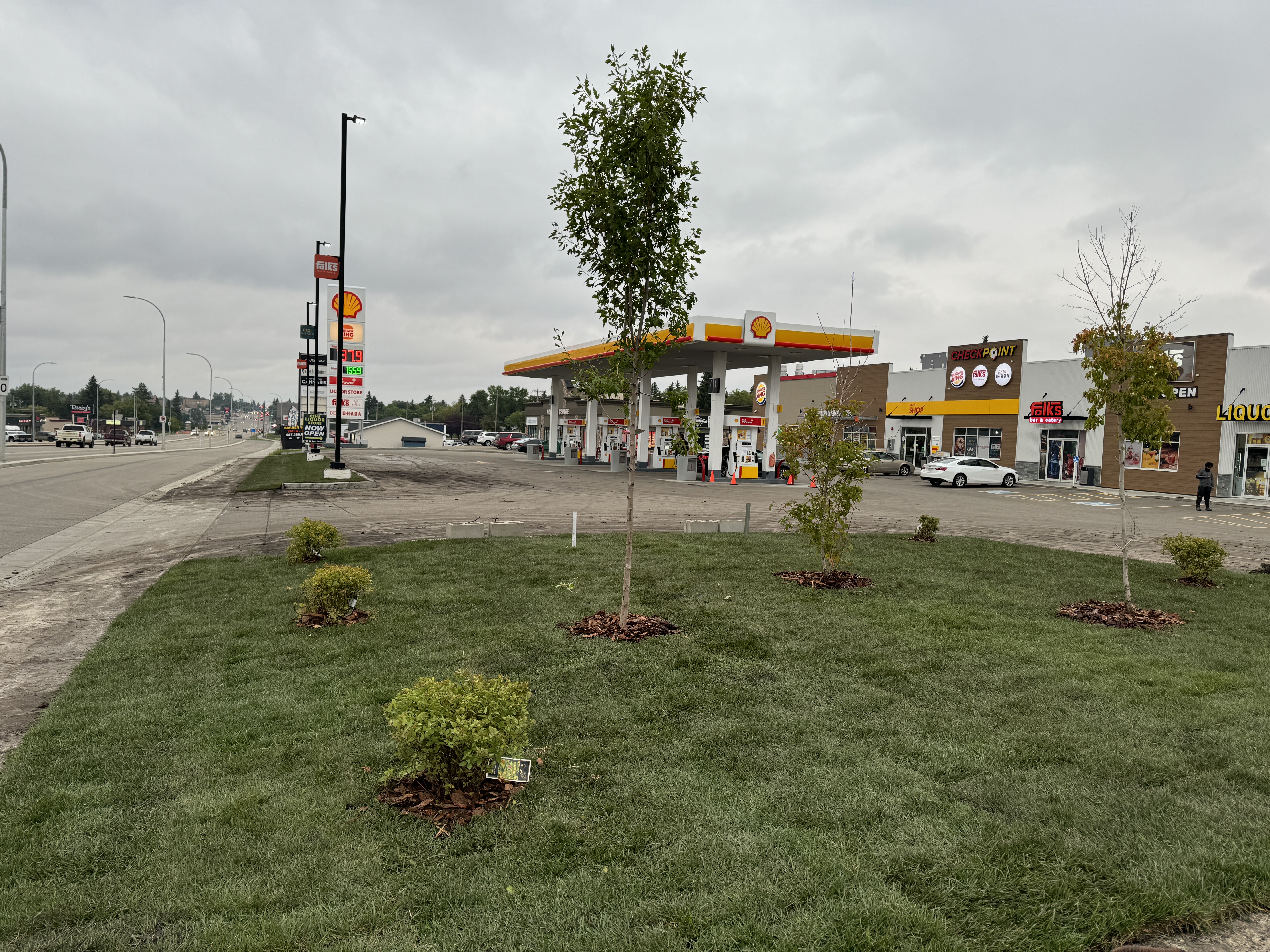 Commercial Landscaping